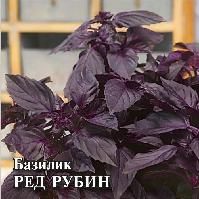 Семена Базилик Ред Рубин 50,0 г