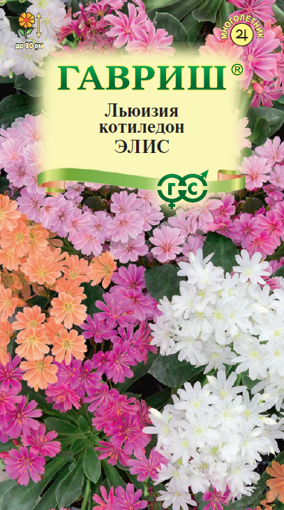Семена Льюизия котиледон Элис  5 шт. Н20