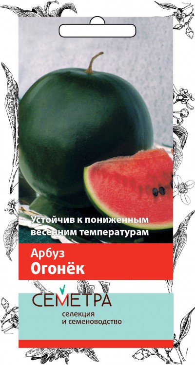 Семена Арбуз Огонек Семетра, 1 г