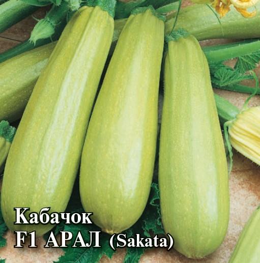 Семена Кабачок Арал F1 100 шт. (Саката)