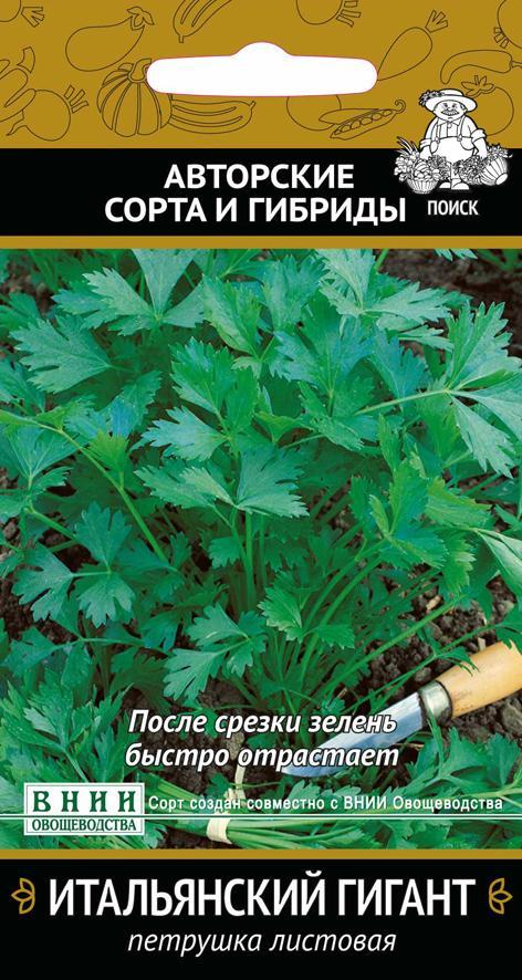 Семена Петрушка листовая Итальянский гигант Поиск Авторские сорта и гибриды, 3 г