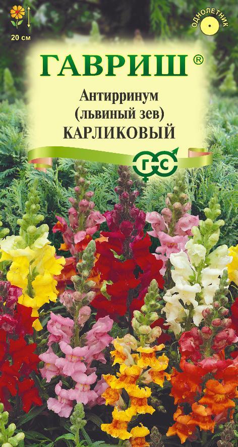 Семена Антирринум (Львиный зев) Карликовый*, смесь 0,05 г