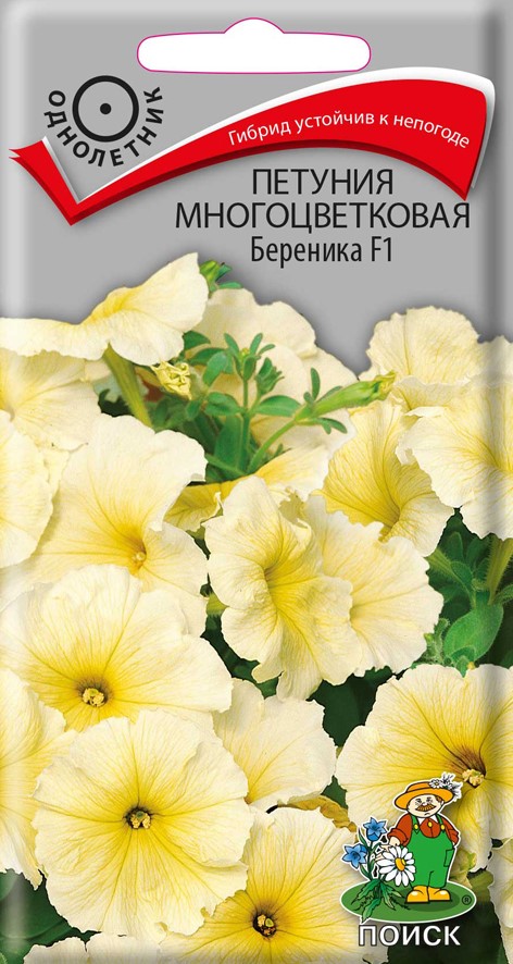 Семена цветов Петуния многоцветковая Береника F1 Поиск, 20 шт