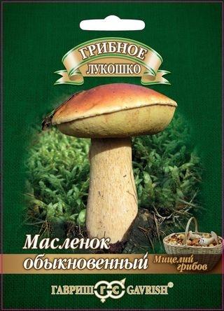 Семена Масленок на зерновом субстрате, больш. пак. 15 мл