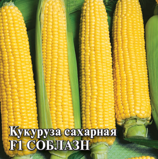 Семена Кукуруза Соблазн F1 сахарная 50,0 г