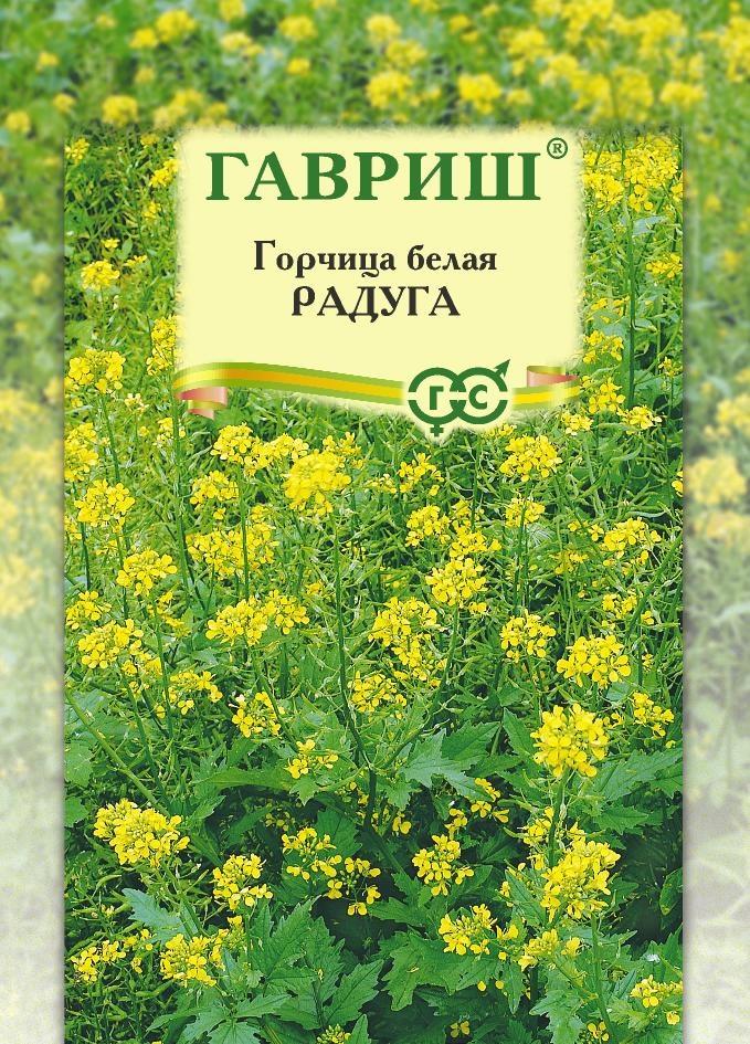 Семена Горчица белая Радуга, больш. пак. 20,0 г