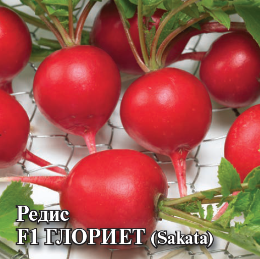Семена Редис Глориет F1 1000 шт. (Саката)