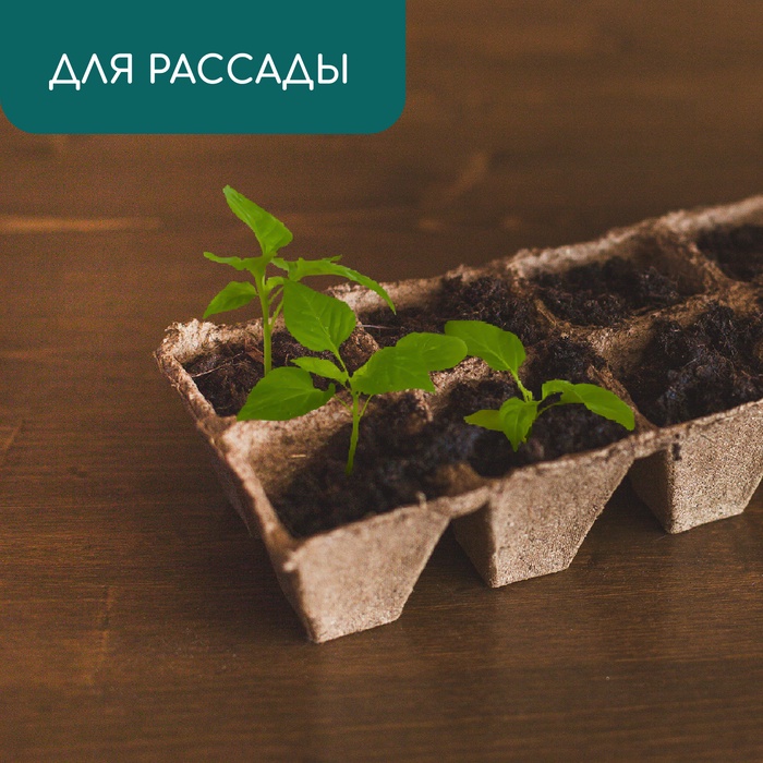 Торфяная кассета 8 ячеек (7 х 7 см), 250 мл