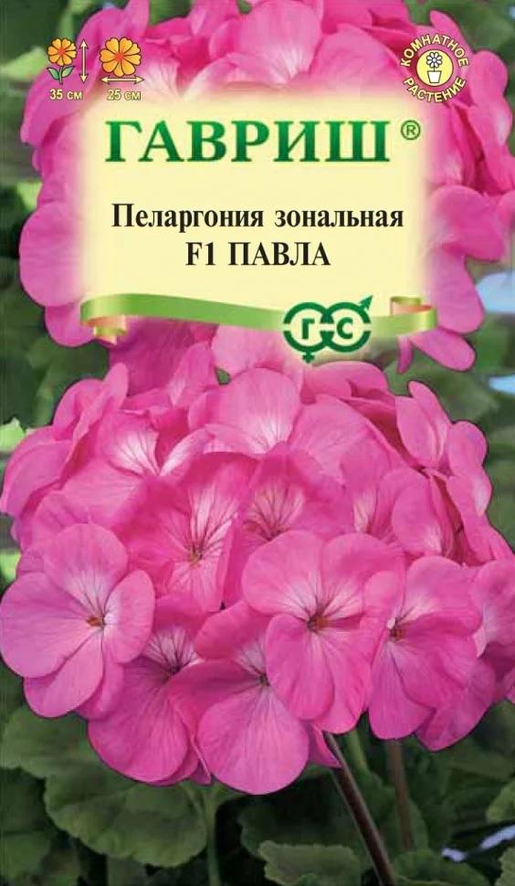 Семена Пеларгония зональная Павла F1 * 4 шт.