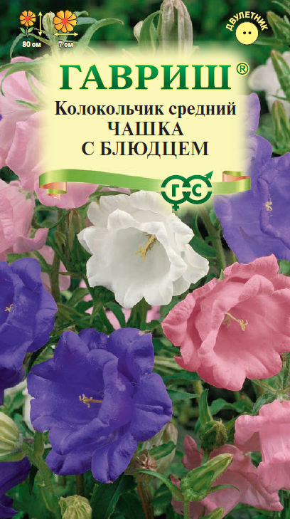 Семена Колокольчик Чашка с блюдцем (средний)* 0,05 г