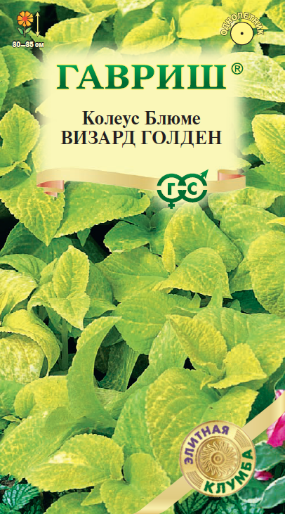 Колеус Визард Голден* 4 шт. Элитная клумба 