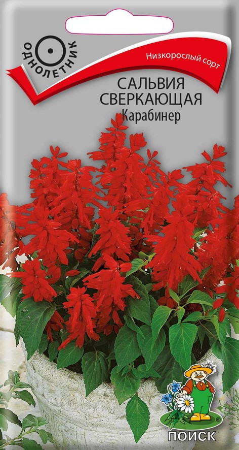 Семена цветов Сильвия сверкающая Карабинер Поиск, 0,1 г