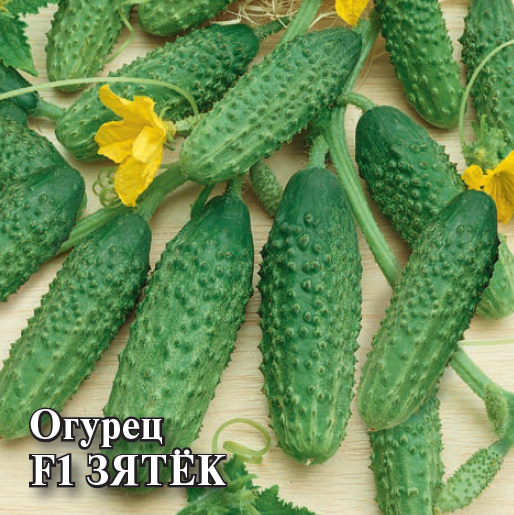 Семена Огурец Зятек F1 100 шт.