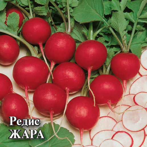 Семена Редис Жара 25,0 г