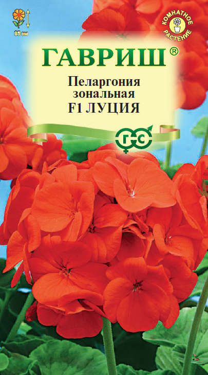 Семена Пеларгония зональная Луция F1 * 4 шт.