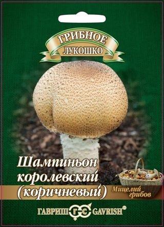 Семена Шампиньон Коричневый на зерновом субстрате, больш. пак. 15 мл
