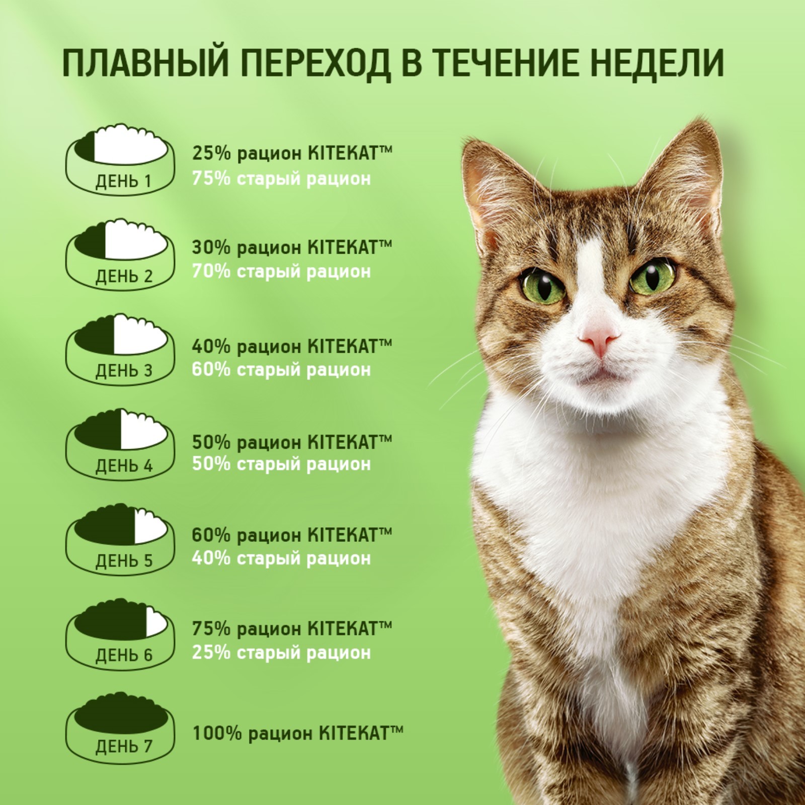 Влажный корм KiteKat для кошек, нежный кролик в желе, 85 г