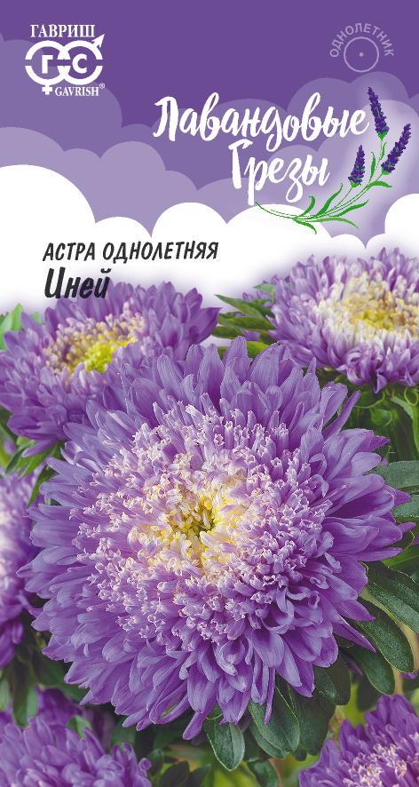 Семена Астра Иней, однолетняя (букет голубой), 0,3 г, серия Лавандовые грезы Н20