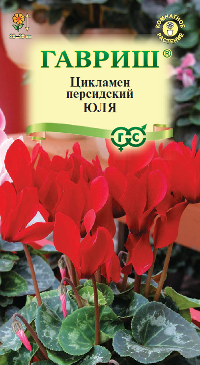 Семена Цикламен Юля персидский * 3 шт. 